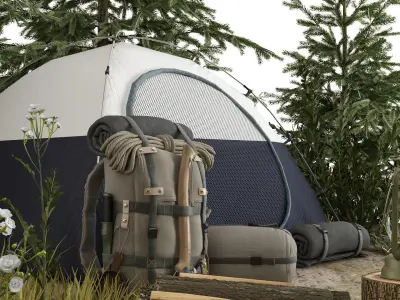 Camping in the Forest 3D model