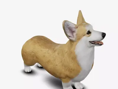 Dog Welsh Corgi Low-poly 3D model