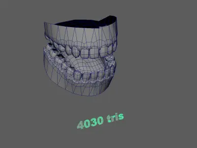 Base Mesh Pack - Tooth Free low-poly 3D model