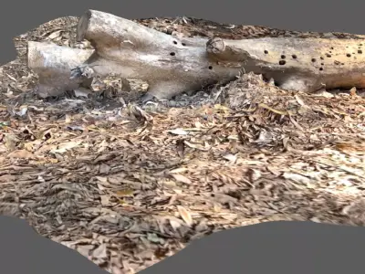 A beautiful tree log surrounded by dried leaves 3D model