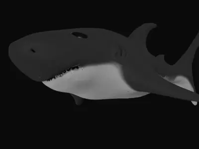 Shark 3D print model Free 3D print model
