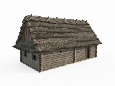 Medieval architecture thatched cottages and wooden houses 3D model