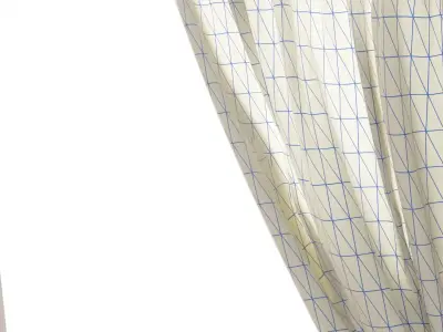 Curtains with pattern Free 3D model