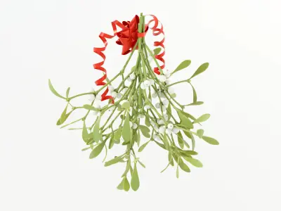 Mistletoe Bunch 3D model