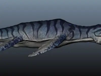 Liopleurodon dinosaur 3D model