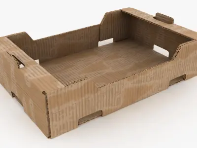 Fruit Cardboard Box Dusty Collection 3D model