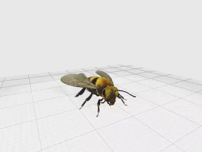 bee 3D 3D model
