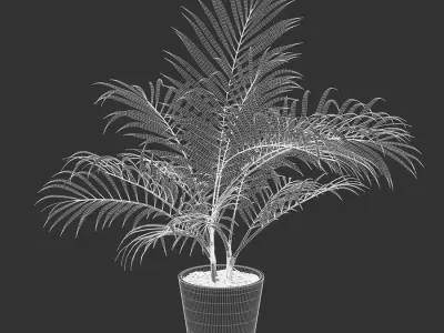  Bangalow Palm Potted Plant Model 