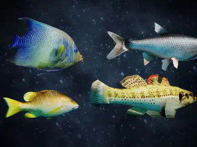 Fish collection low-poly fishes Low-poly 3D model