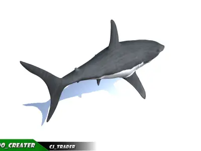 Low-Poly Killer Shark Rigged Animated 3D model Low-poly 3D model