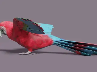 MACAW LOWPOLY parrot with wings spread Low-poly 3D model