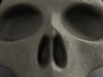 Skull 3D model