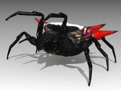 Spinybacked Spider Low-poly 3D model