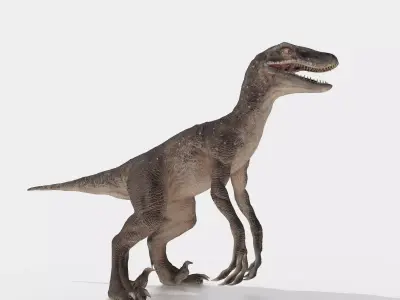 velociraptor dinosaur Low-poly 3D model