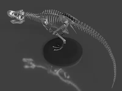 Silver T-Rex Skeleton - Prehistoric Dinosaur Fossil 3D model