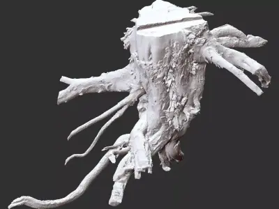 3d scan tree root in highpoly 3D model