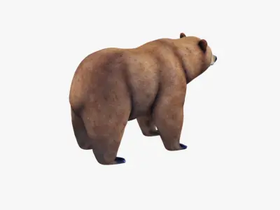 Bear Animal Free 3D model