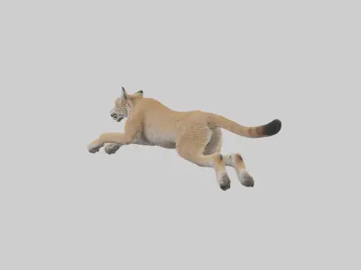 Lynx jumping model Low-poly 3D model