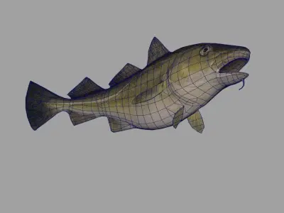 Atlantic-Cod Realistic Animated Low-poly 3D model