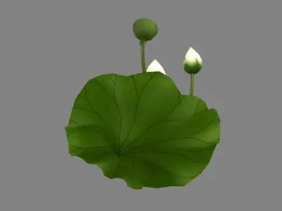 Cartoon Frog fishing on lotus leaf Low-poly 3D model