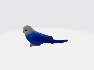 Parrot 3d model Low-poly 3D model