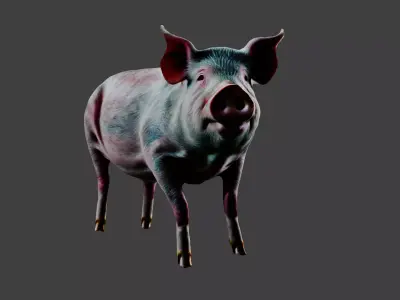 Pig Animal Low-poly 3D model