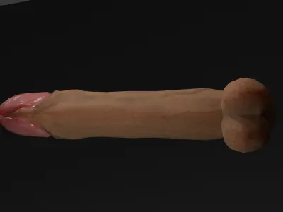 male genitalia - Penis low poly Low-poly 3D model