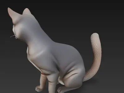 Cat Realistic 3D Model Basic - Low Poly Realistic Low-poly 3D model