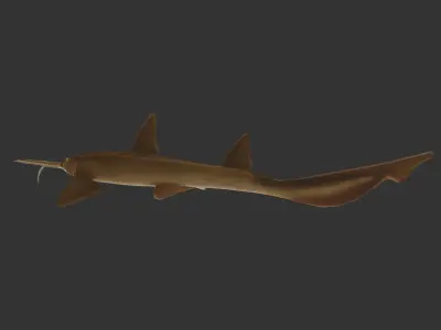 long shark mouth Low-poly 3D model