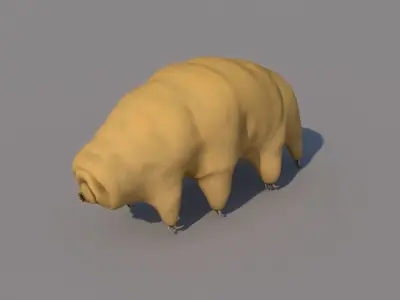 Tardigrade 3D model hamster 3D model