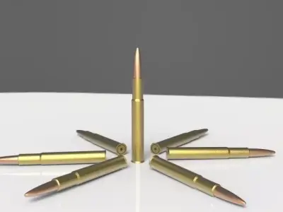 308 bullets Free 3D model