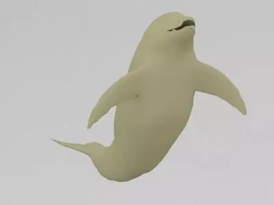 dolphin Free 3D print model