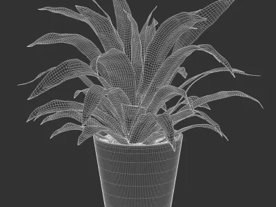  Dracaena Potted Plant Model, Lemon Lime 