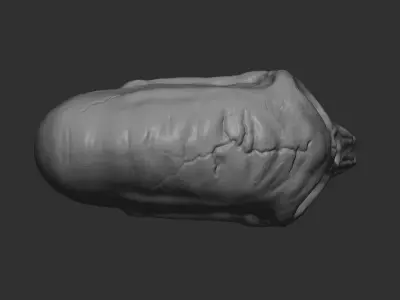 Alien Skull 3D print 3D print model