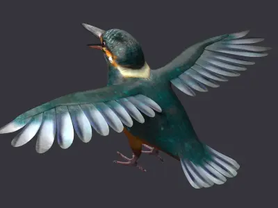 hummingbird humming bird kolibri animal tiny 3D model