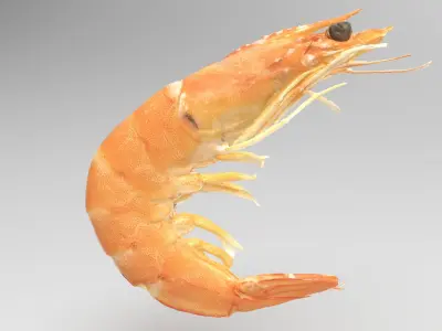 Boiled Shrimp Low-poly 3D model