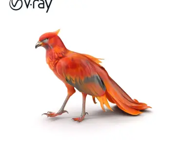 Exotic Bird D Model Pack with Detailed Plumage Low-poly 3D model