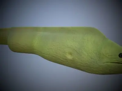 Green Eel 3D model