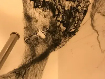 Spider Halloween Prop STL Free 3D print model