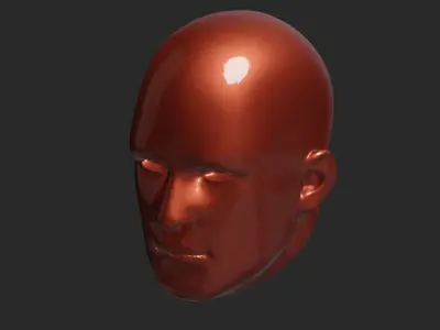 Humans Head 3D print model
