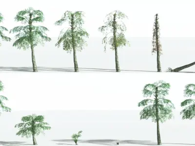 EVERYPlant Alethopteris Seed Fern 4 --12 Models-- 3D model