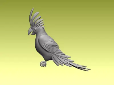 parrot cacadu 3D model