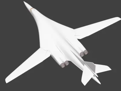tu-160 3D print model