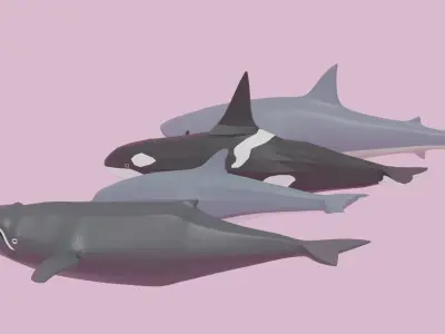 Cartoon Sea Animals Pack Low-poly 3D model