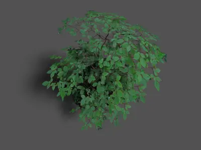 low poly forest tree 1 Low-poly 3D model