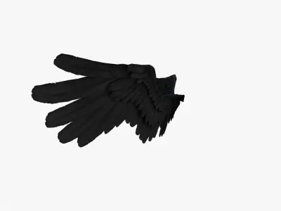 Angel Wings Black - Low poly Low-poly 3D model