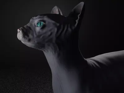 Egyptian Sphynx Cat  LowPoly GameReady Low-poly 3D model