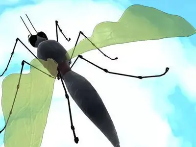 mosquito cartoon 01 3D model