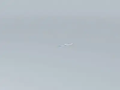 United Airlines Flight 288 and CargoLux Flight 9330F Free 3D model