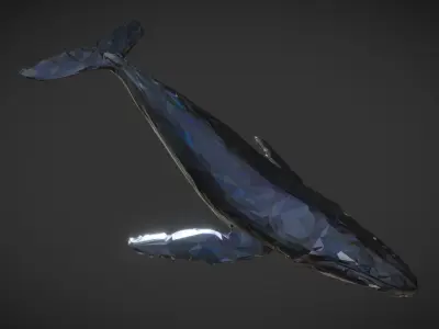 Whale Low Polygon Art Animal Low-poly 3D model